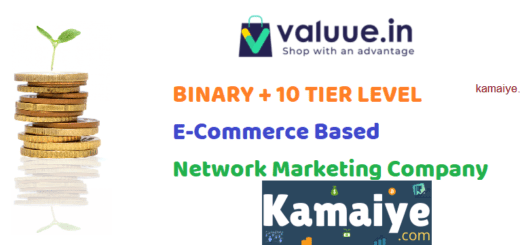 Valuue MLM Company details
