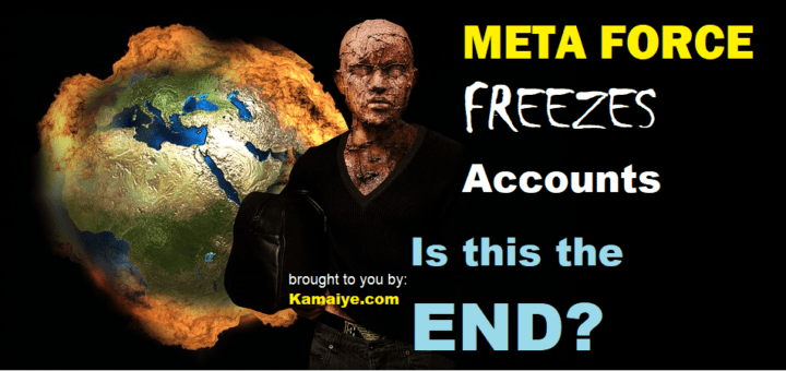 Meta Force ends collapses